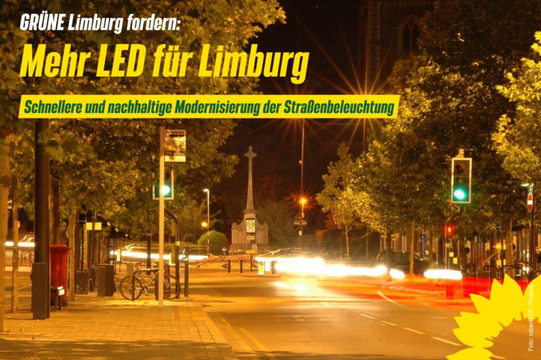 Limburgs GRÜNE fordern schnellere und nachhaltige Modernisierung der Straßenbeleuchtung auf LEDs